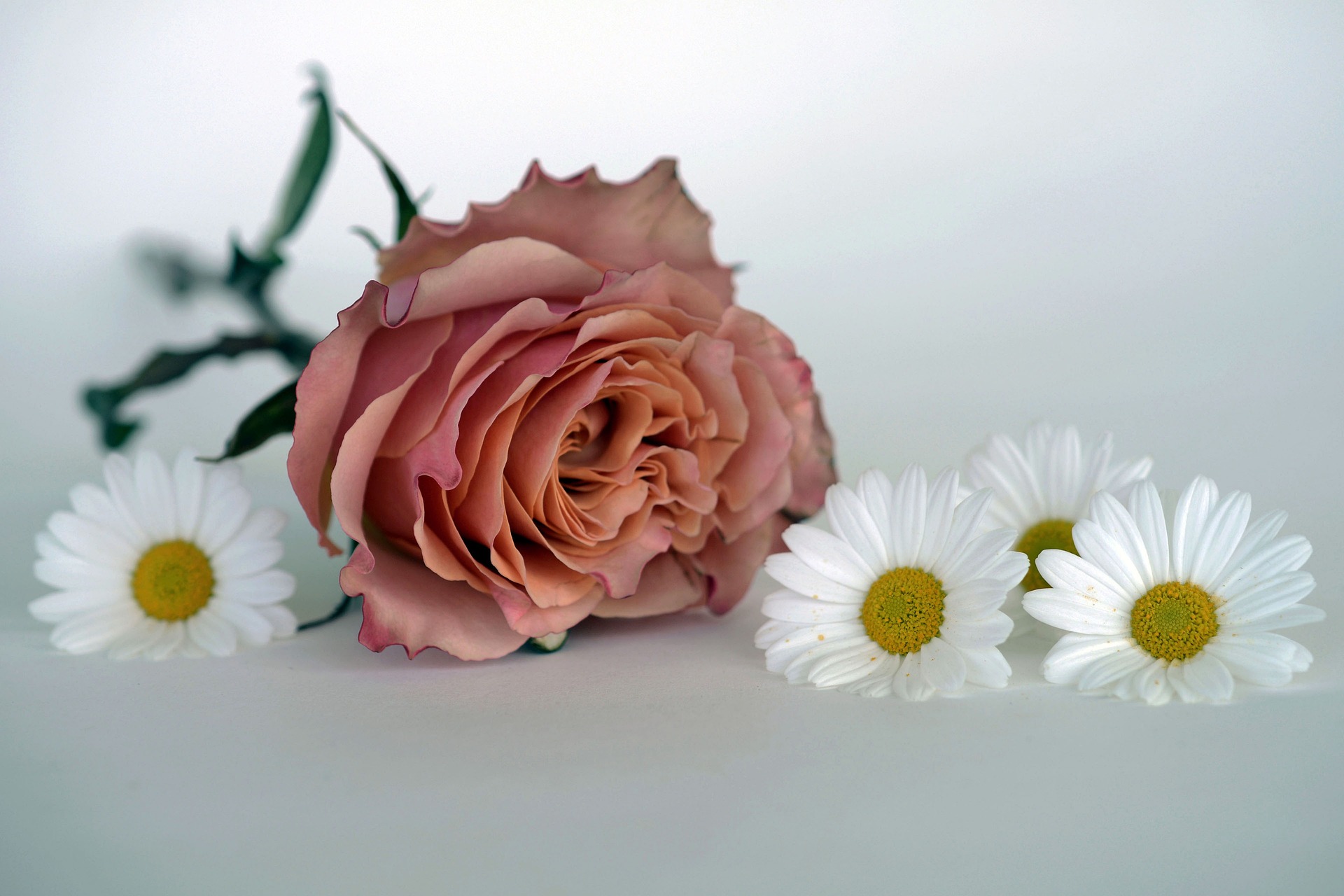 happy-mothers-day-1346674_1920
